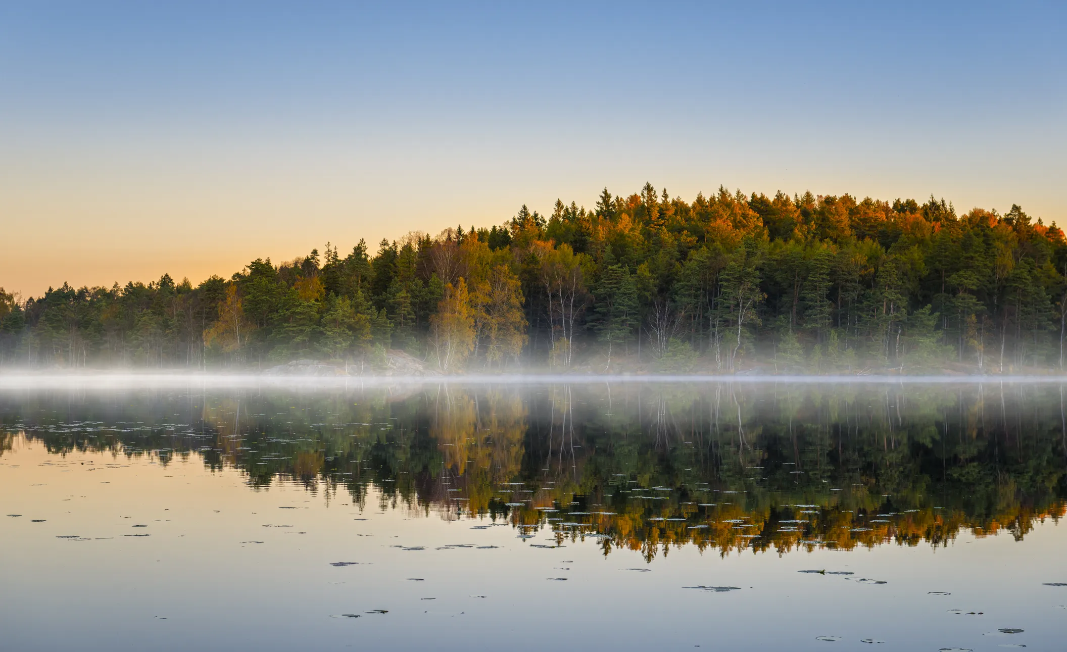 sweden-nature